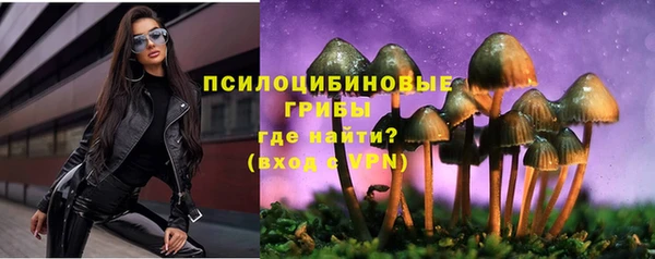 mdpv Михайловск