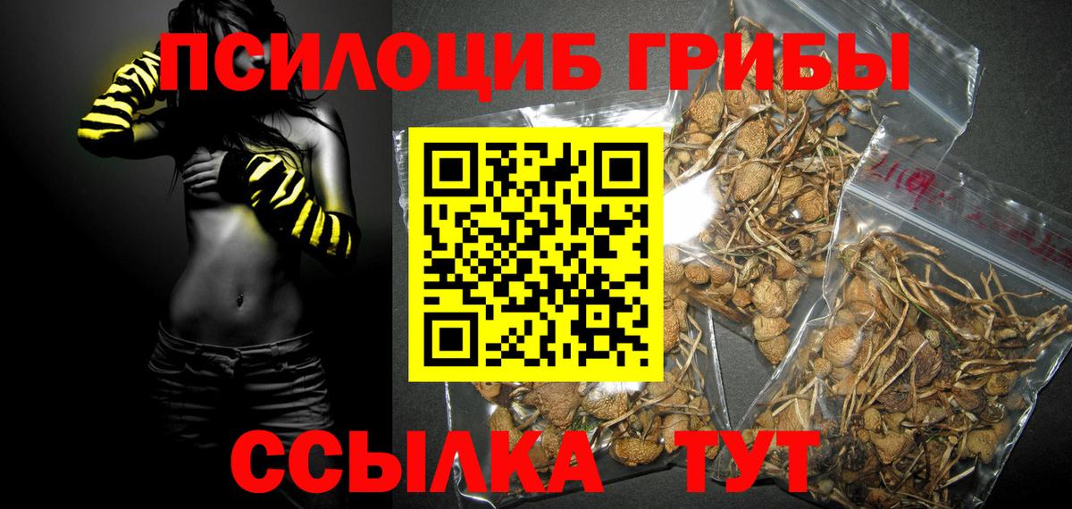 Кострома  Псилоцибиновые грибы MAGIC MUSHROOMS  Вход с VPN  Псилоцибиновые грибы GOLDEN TEACHER 